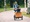 Family having fun in a park on a bike.