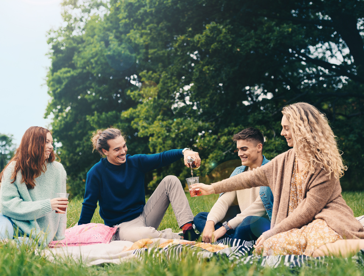 Picture of some frineds in a park on a picnic.